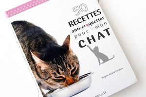 50 Recettes Anti Croquettes pour mon Chat