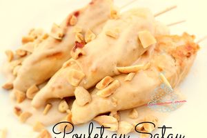 Brochettes de poulet satay