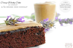 | Crazy Wacky Cake au chocolat et sa mousse coco chocolat | Sans lactose, oeuf, beurre, sans bol ou mixeur, le rêve allégé!