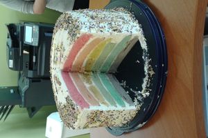 Le Raimbow Cake