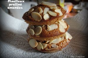 Moelleux au praliné et amandes