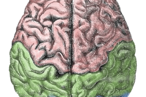 Sciences : commander par la pensée