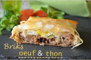 Brick à l'œuf et au thon