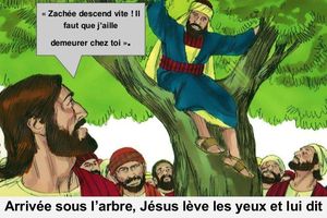 mardi de la 33e semaine du temps ordinaire - Zachée et les Eglises de l’Apocalypse