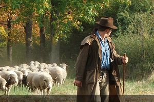 Jn 10, 1-10 ; 4e dimanche de Pâques