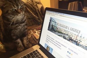 Eh oui, même les animaux ont leur place sur ce blog ;)
