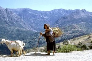 La vieille kabyle et sa chevre