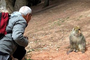 La rencontre