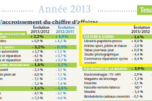 Réflexion sur une bonne nouvelle : avec + 8 % les libraires indépendants champions de la progression en CA tous secteurs confondus en 2013 !