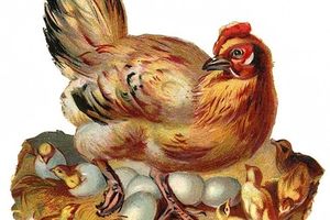 Joyeuses Pâques !