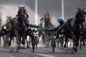 le quinté du jeudi 17 juillet 2014