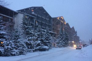 Snowy Day