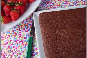 Gâteau au chocolat et à la compote de pomme