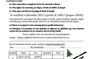 SAPINS DE NOEL - 2015