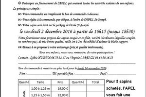 SAPINS DE NOEL 2016