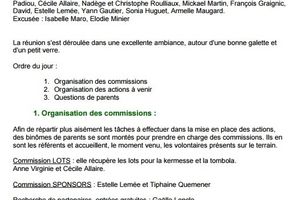 COMPTE RENDU DU 12/01/17
