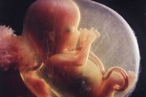 AVORTEMENT : maman, laisse-moi la vie...