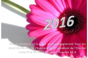 2016 : une année de Grâce et de victoires...
