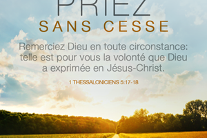 L'AN 2017....