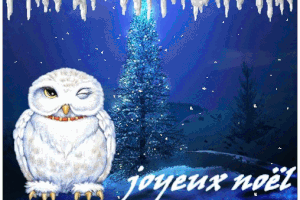 Joyeux Noël .