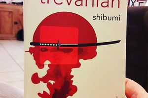 Des livres et moi : Shibumi de Trevanian