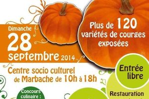 Ateliers cuisine sauvage à la fête de la courge