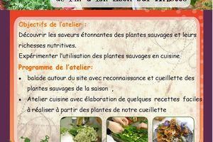 11 juin atelier cuisine sauvage à Esch sur Alzette