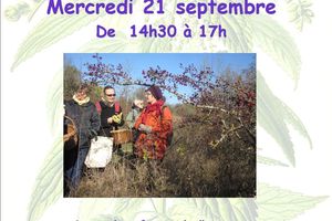 Atelier et balade du mois de septembre