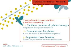 dimanche 30 juillet plantes à croquer plantes à créer