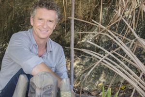 Audiences Tv du 24/04/15, en soirée: Koh Lanta au plus bas depuis 2003 ! Caïn résiste bien. NCIS NO déçoit. Fr3 faible. TMC 5e.