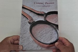 Ciseaux "Le livre de la Collection"