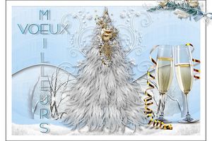 Carte Bonne Année