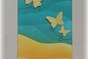 Echange de l'été Fiskarettes avec Niasso