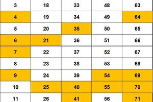 Bingo Tirage 11