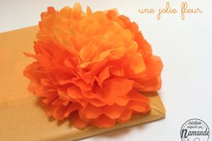 Une jolie fleur