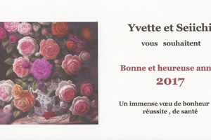 Meilleurs voeux 2017