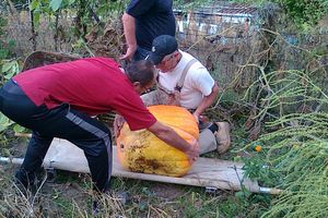 un surprenant sauvetage à la Taillée