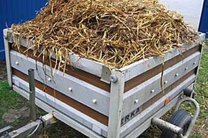 Le fumier, comment bien l'utiliser ?