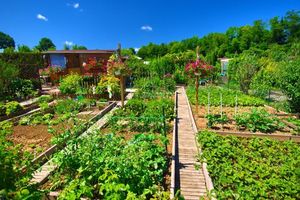 De quoi se nourrissent nos légumes ?