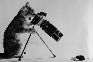 Concours photo, encore quelques jours