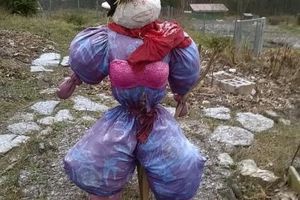 Monique et Marius : un couple de jardiniers pas comme les autres...