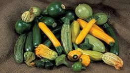 La recette du mois : la courgette