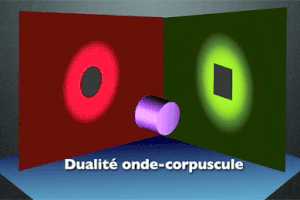 Relativité de la mécanique quantique