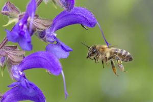 Concours photos 2015