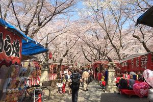 Compte-rendu du voyage au Japon printemps 2015