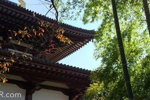 Voyage aïkido au Japon automne 2015