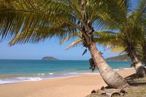Lili en Guadeloupe