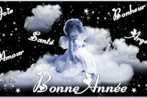 MEILLEURS VOEUX