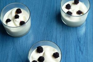Yaourt glacé au miel (Frozen yogurt)