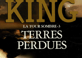 La Tour Sombre, tome 3 : Terres Perdues - Stepen KING